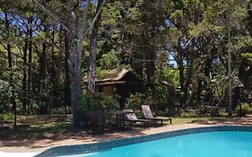 Byron Bay Rainforest Resort